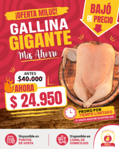 Baja de precio en gallina