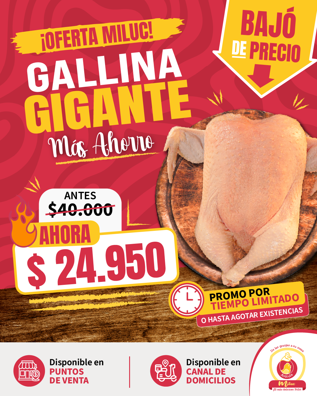 Baja de precio en gallina