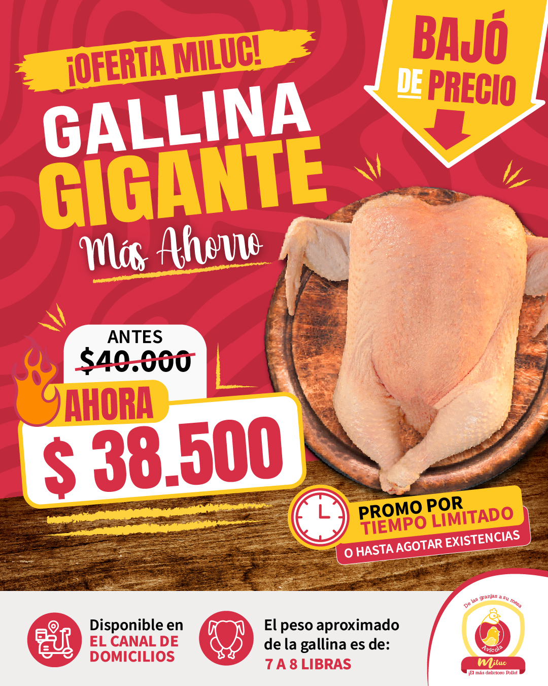 Baja de precio en gallina