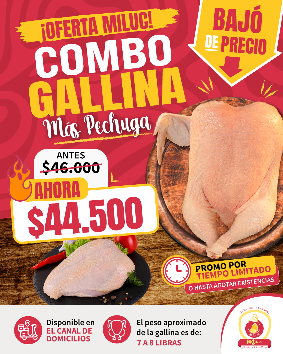 Baja de precio en gallina